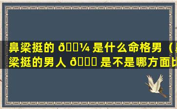 鼻梁挺的 🐼 是什么命格男（鼻梁挺的男人 🐟 是不是哪方面比较好）